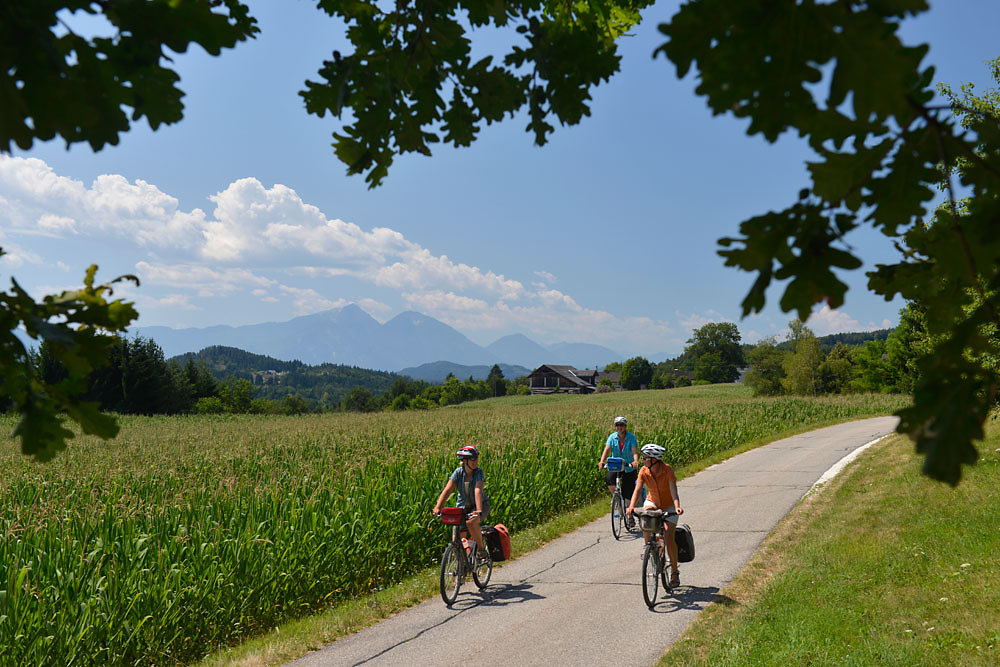 kaernten-drau-radweg.jpg