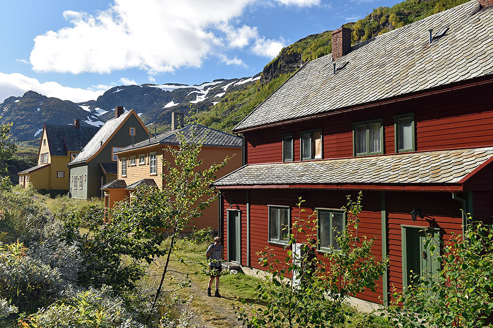 myrdal.jpg