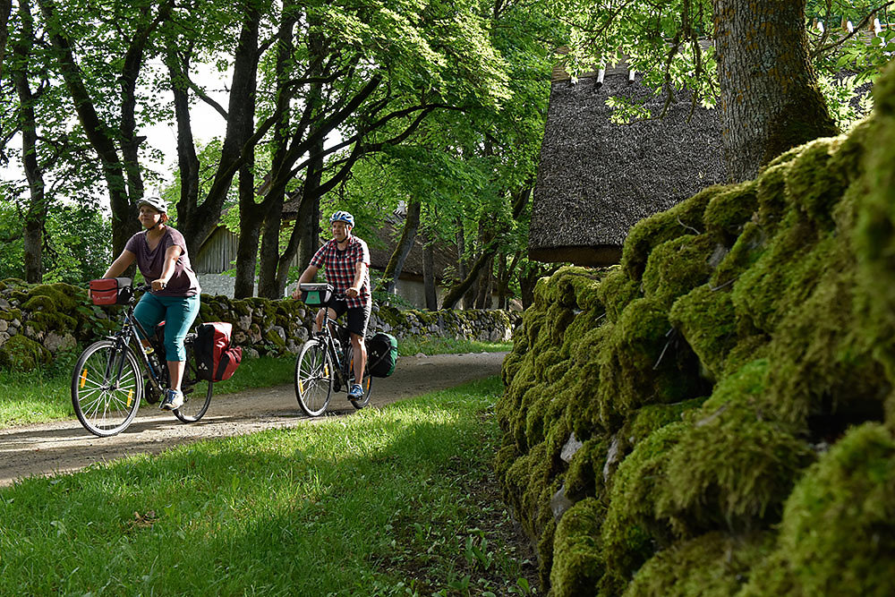 Muhu-fahrrad.jpg